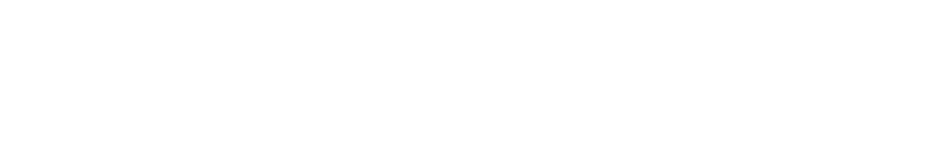 Invest Express Logo - White